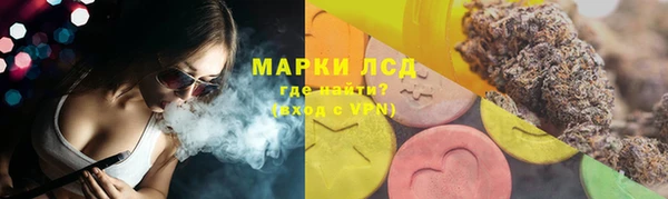 ГАЛЛЮЦИНОГЕННЫЕ ГРИБЫ Абаза