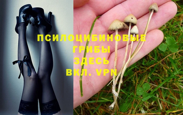 ешки Семилуки