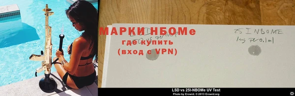 ГАЛЛЮЦИНОГЕННЫЕ ГРИБЫ Абаза