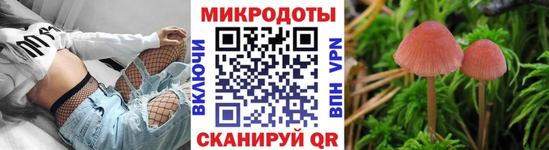 Галлюциногенные грибы мицелий  Азов 