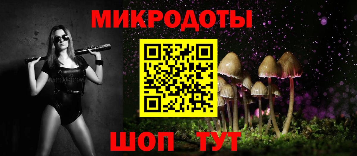 Псилоцибиновые грибы мицелий Азов