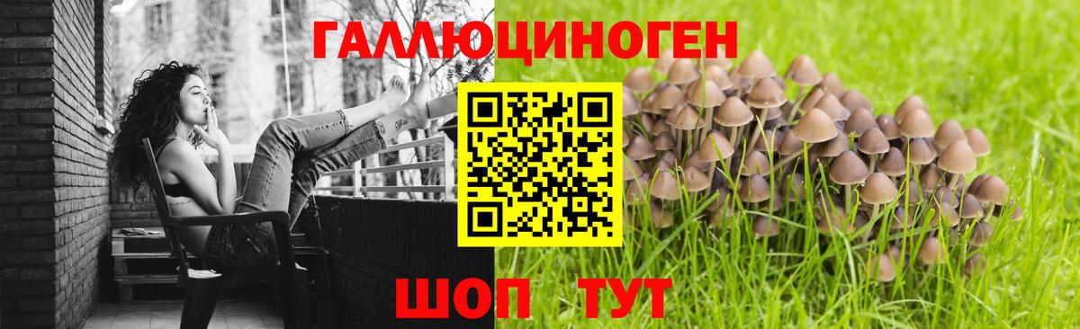 Галлюциногенные грибы мухоморы  Галлюциногенные грибы прущие грибы  Азов  Вход с VPN 